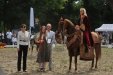 Galahad, „ARABIA-Polska” Arabian Horse Festival, Warsaw 2011, by Urszula Sawicka