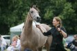 Psyche Kybele, „ARABIA-Polska” Arabian Horse Festival 2011, fot.: Barbara Zalewska