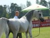 Psyche Keret, Al Khalediah European Arabian Horse Festival 2016, fot.: Sylwia Iłenda